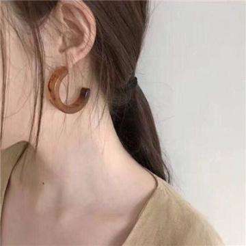 精灵宝可梦破解版下载